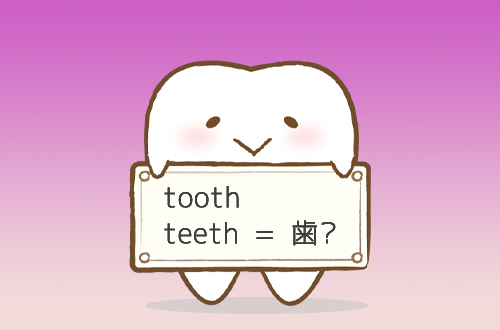 toothとteethの違い