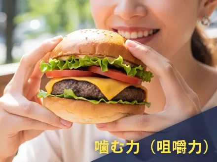 噛む力が大切な理由