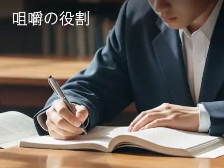 噛む力(咀嚼力)の基本