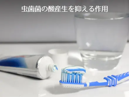 虫歯菌の活動抑制
